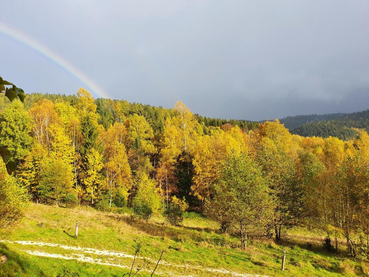 Apartament Ksiezycowa Dolina Lądek-Zdrój Zewnętrze zdjęcie