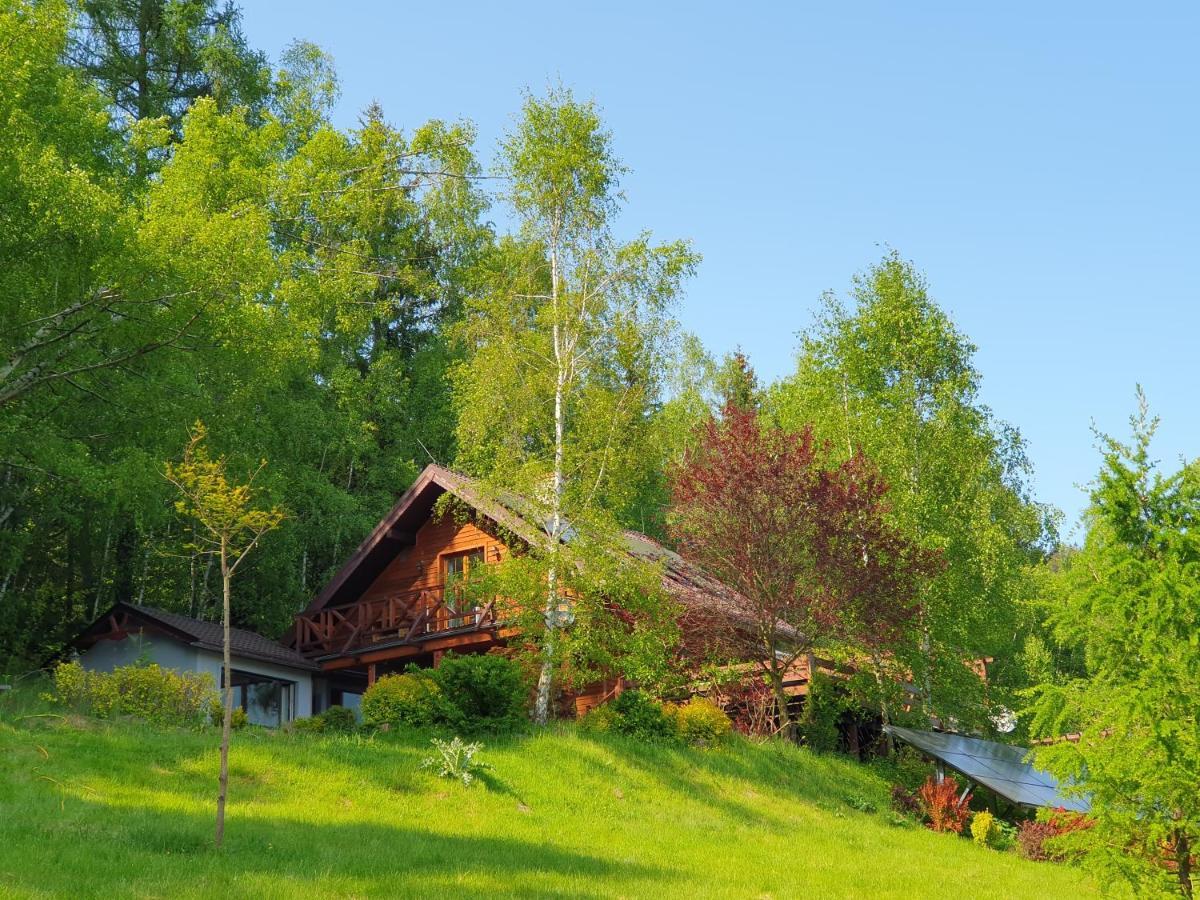 Apartament Ksiezycowa Dolina Lądek-Zdrój Zewnętrze zdjęcie